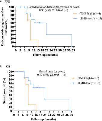 Blood Tumor Mutational Burden as a Predictive Biomarker in Patients With Advanced Non-Small Cell Lung Cancer (NSCLC)